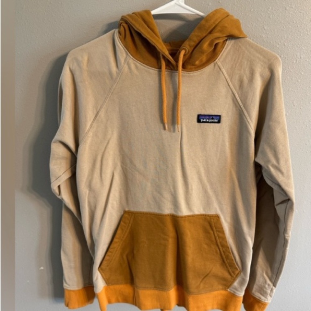 Patagonia Sweatshirt Hoodie